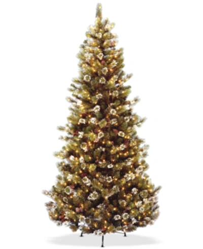 National Tree Company 7.5' Glittery Pine Slim Tree With 500 Clear Lights In Green
