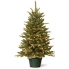 National Tree Company 3' Everyday Collections Small Tree In Green Pot With 100 Clear Lights In Green