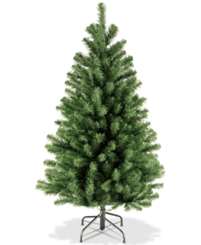 National Tree Company 4' North Valley Spruce Tree In Green