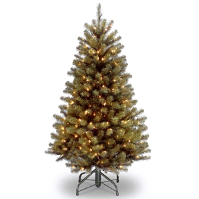 National Tree Company National Tree 4.5' North Valley Spruce Hinged Tree With 200 Clear Lights In Green