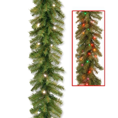 National Tree Company 9' X 10" Norwood Fir Garland With 50 Battery Operated Dual Led Lights In Green