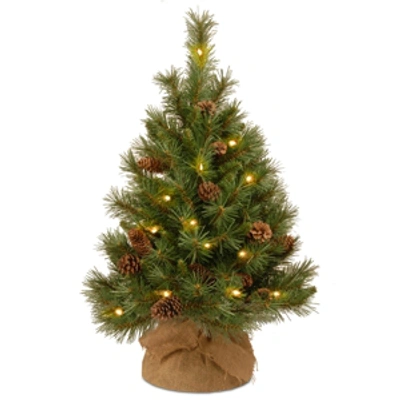 National Tree Company 3' Pine Cone Burlap Tree With 35 Warm White Battery Operated Led Lights W/ Timer In Green