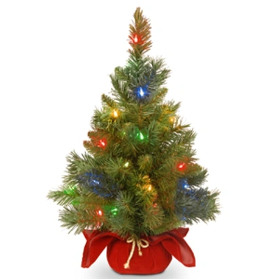 National Tree Company 24" Majestic Spruce Tree In Burgundy Cloth Bag With 35 Multi Battery Operated Led Lights In Green