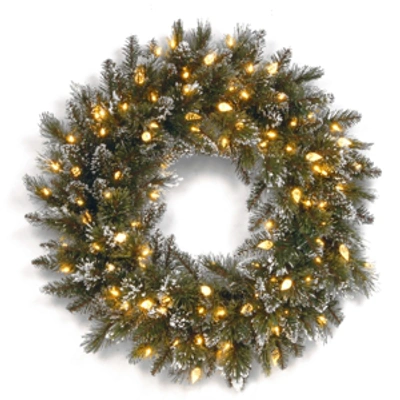 National Tree Company 24" Glittery Bristle Pine Wreath With 50 Soft White C7 Led Lights In Green