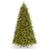 National Tree Company 9' Feel Real Princeton Fraser Fir Hinged Tree With 1000 Dual Color Led Lights & Powerconnect In Green
