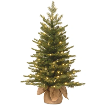 National Tree Company 3' "feel Real" Nordic Spruce Small Tree In Burlap With 100 Clear Lights In Green