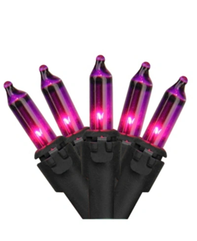 Northlight Set Of 50 Purple Mini Christmas Lights 2.5" Spacing