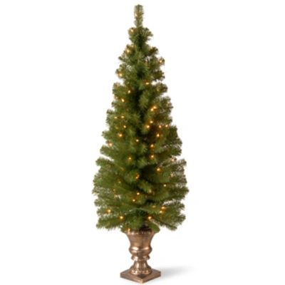 National Tree Company 5' Montclair Spruce Entrance Tree In 12" Black/gold Plastic Pot With 100 Clear Lights In Green