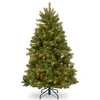 National Tree Company National Tree 5' Feel Real Newberry Spruce Hinged Tree With 500 Clear Lights In Green
