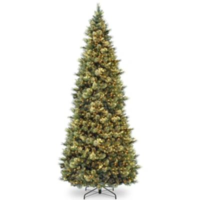 National Tree Company National Tree 10' Carolina Pine Slim Wrapped Tree With Flocked Cones & Clear Lights In Green