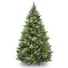 National Tree Company National Tree 7' Carolina Pine Hinged Tree With 700 Clear Lights In Green