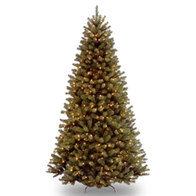 National Tree Company National Tree 10' North Valley Spruce Tree With 1000 Clear Lights In Green