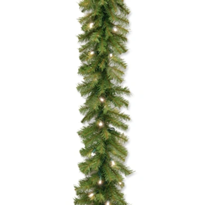 National Tree Company 9' X 10" Norwood Fir Garland With 50 Concave Soft White Led Lights In Green