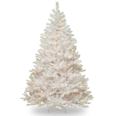 National Tree Company 7.5' Winchester White Pine Tree With 500 Clear Lights
