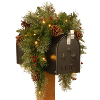 National Tree Company 36" Feel Real(r) Colonial Mail Box Swag With 8 Pine Cones, 8 Red Berries And 15 Warm White Battery O In Green