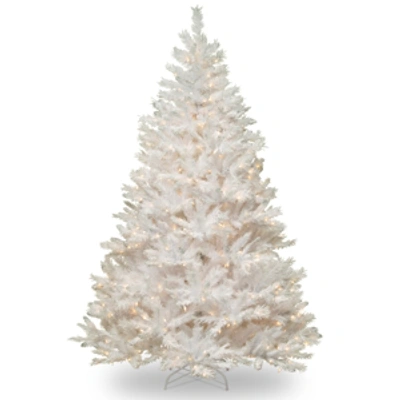 National Tree Company 6.5' Winchester White Pine Tree With 400 Clear Lights