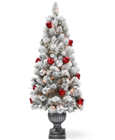 National Tree Company 5' Snowy Bristle Pine Entrance Tree With Urn Base, Ornaments & 100 Clear Lights In Green