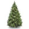 National Tree Company National Tree 6.5' Carolina Pine Tree With 650 Clear Lights In Green