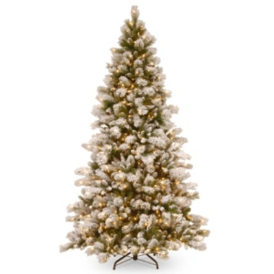 National Tree Company National Tree Snowy Westwood Pine With 650 Clear Lights In Green
