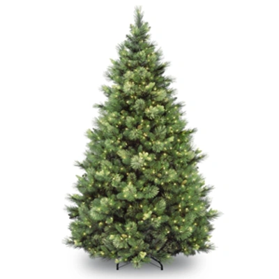 National Tree Company National Tree 9' Carolina Pine Tree With 900 Clear Lights In Green
