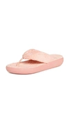 Ancient Greek Sandals Charisma Comfort Terry Flip Flops