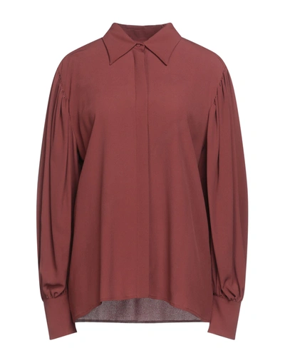 Msgm Shirts In Brown