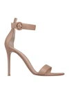 Gianvito Rossi Sandals In Light Brown