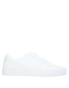 MR P SNEAKERS,11855244OW 13