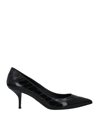 Dolce & Gabbana Pumps In Black