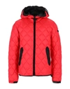 Ai Riders On The Storm Down Jackets In Red