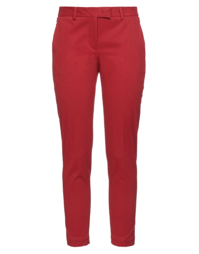 Gold Case Pants In Red