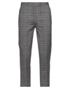 Circolo 1901 Pants In Dark Brown