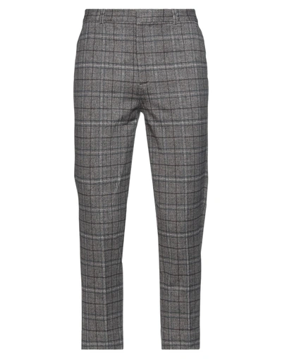 Circolo 1901 Pants In Dark Brown