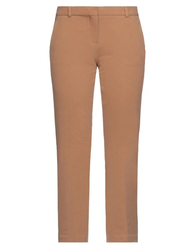 Circolo 1901 Pants In Beige