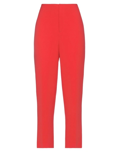 Alice And Olivia Pants In Red