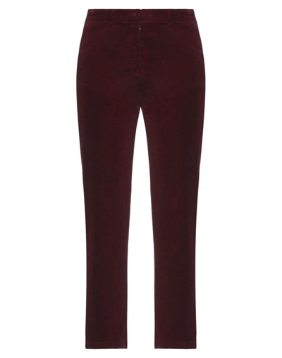 Aspesi Pants In Maroon
