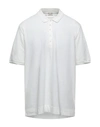 Massimo Alba Polo Shirts In Ivory