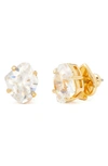 Kate Spade Treasure Trove Stud Earrings In Clear
