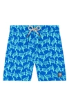 TOM & TEDDY KIDS' TURTLE PRINT SWIM TRUNKS,BTTTURBI