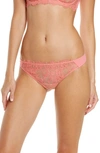 Skarlett Blue Women's Entice Eyelash Lace Trim Thong 371143 In Coral Glow / Terracotta