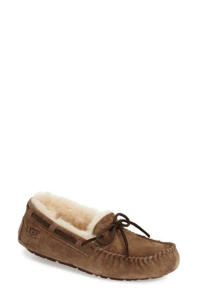 Ugg Dakota Slipper In Dry Leaf Suede