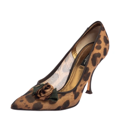 Pre-owned Dolce & Gabbana Brown Leopard Print Fabric Pointed Toe Pumps Size 38