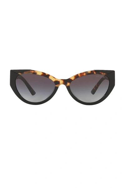 Prada Monochrome Revolution Cat Eye Rounded In Black Medium Havana