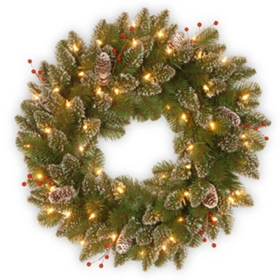 National Tree Company National Tree 24" Glittery Mountain Spruce Wreath With White Edged Cones, Red Berries And 50 Warm Wh In Green