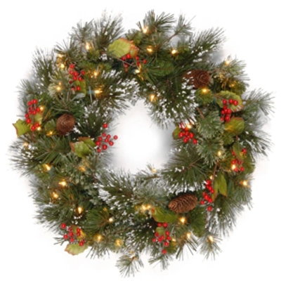 National Tree Company 24" Wintry Pine Wreath With Cones, Red Berries, Snowflakes With 50 Battery-operated Soft White Led L In Green