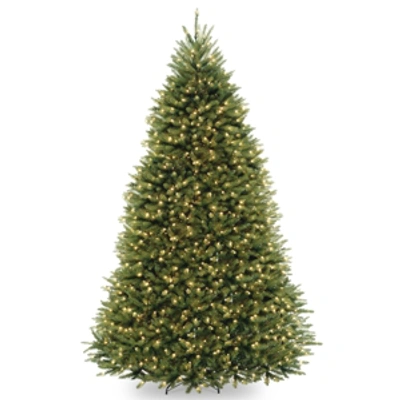 National Tree Company National Tree 9' Dunhill Fir Hinged Tree With Clear Lights In Green
