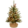 NATIONAL TREE COMPANY 2' DUNHILL FIR TREE WITH 15 WARM WHITE BATTERY OPERATED LED LIGHTS
