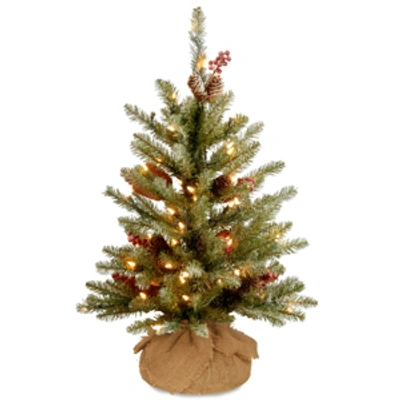 National Tree Company 2' Dunhill Fir Tree With 15 Warm White Battery Operated Led Lights In Green