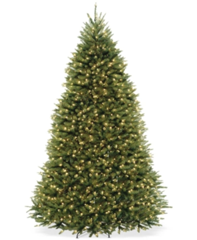 National Tree Company 9' Dunhill Fir Full-bodied & Hinged Tree With 900 Clear Lights In Green