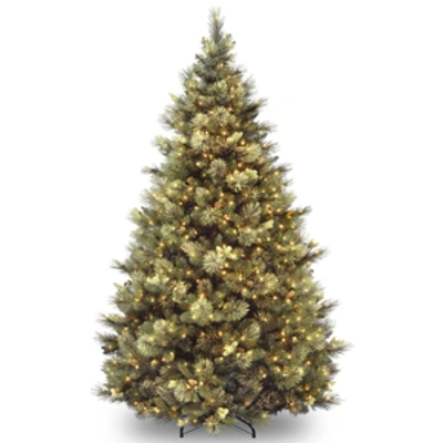 National Tree Company National Tree 9' Carolina Pine Hinged Tree With Flocked Cones & 1200 Clear Lights In Green